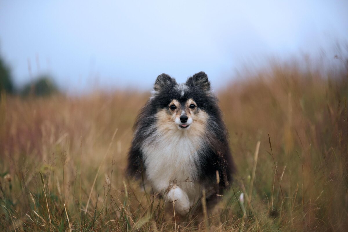    фото:Anna Averianova/Legion media