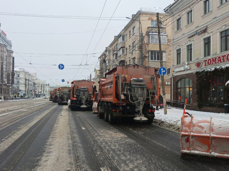     Фото: администрация Тулы
