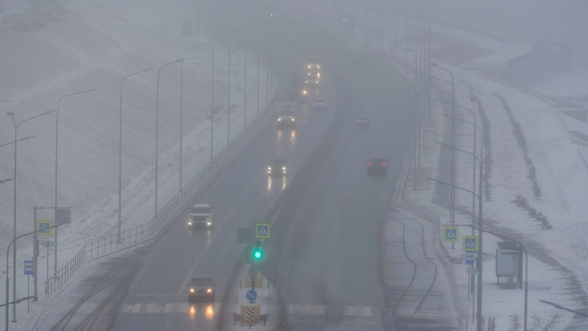    ГИБДД Волгограда предупредила водителей об опасности из-за тумана   novostivolgograda.ru