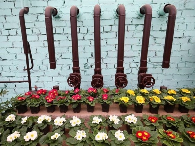     © Фото: ИД «Волгоградская правда» / Кирилл Брага / архив