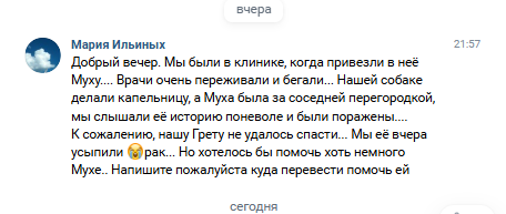 Сообщение в группе ВК "Дай, Джим, на счастье лапу мне"