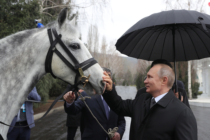    Михаил Климентьев/пресс-служба президента РФ/ТАСС