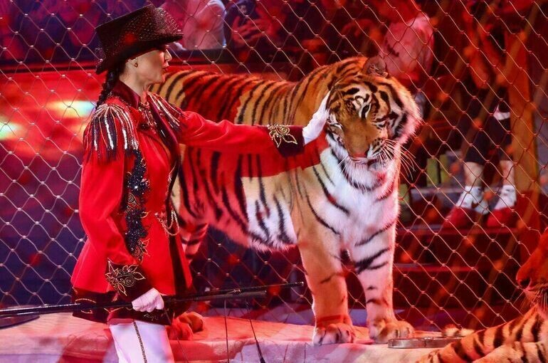   Ярослав Чингаев/Агентство «Москва»