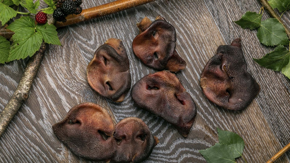 Свиные пятачки Exotic Pet