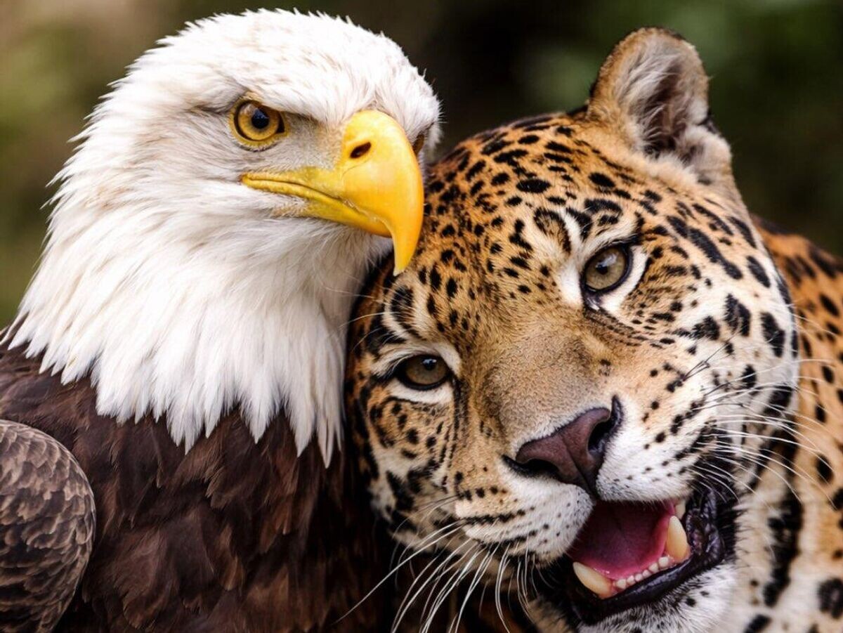    Фотография, опубликованная в социальной сети Густаво Петро