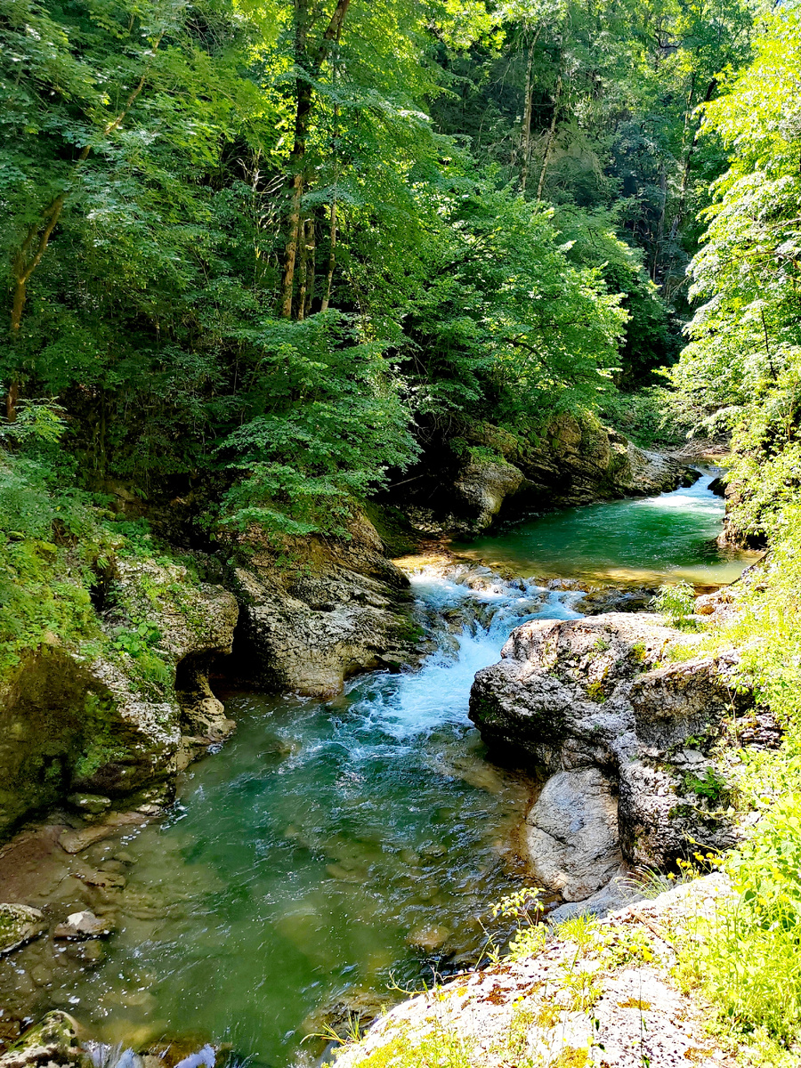 Река Курджипс в Гуамском ущелье. Апшеронский район Краснодарского края. Фото автора
