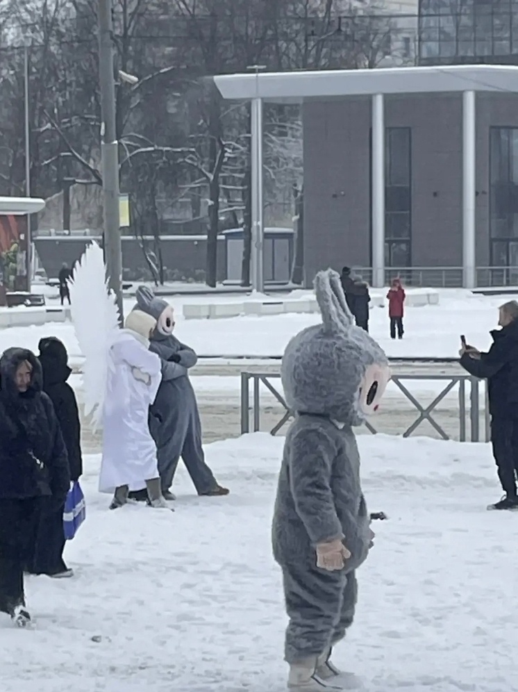     фото Ярославский цирк