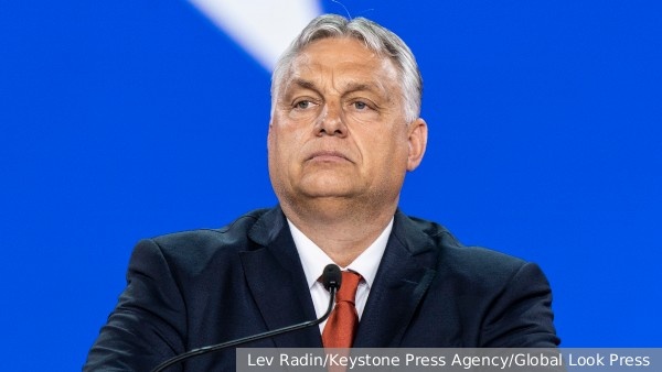     Фото: Lev Radin/Keystone Press Agency/Global Look Press   
 Текст: Елизавета Шишкова
