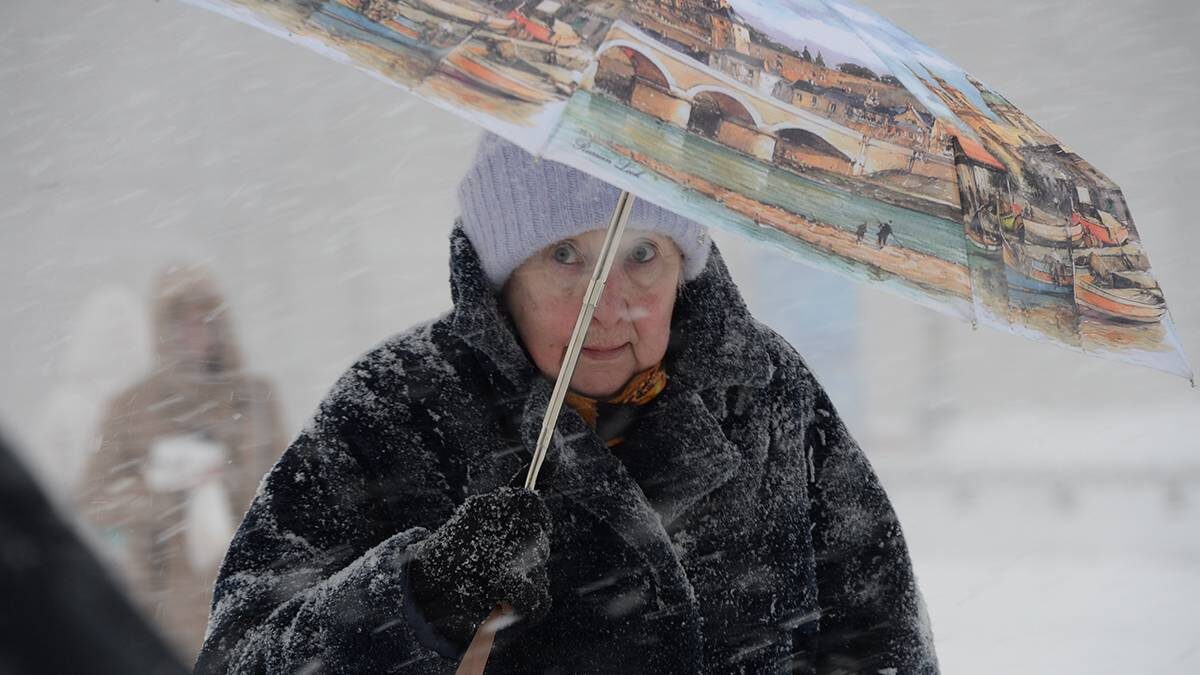    Фото: Пелагия Замятина / Вечерняя Москва