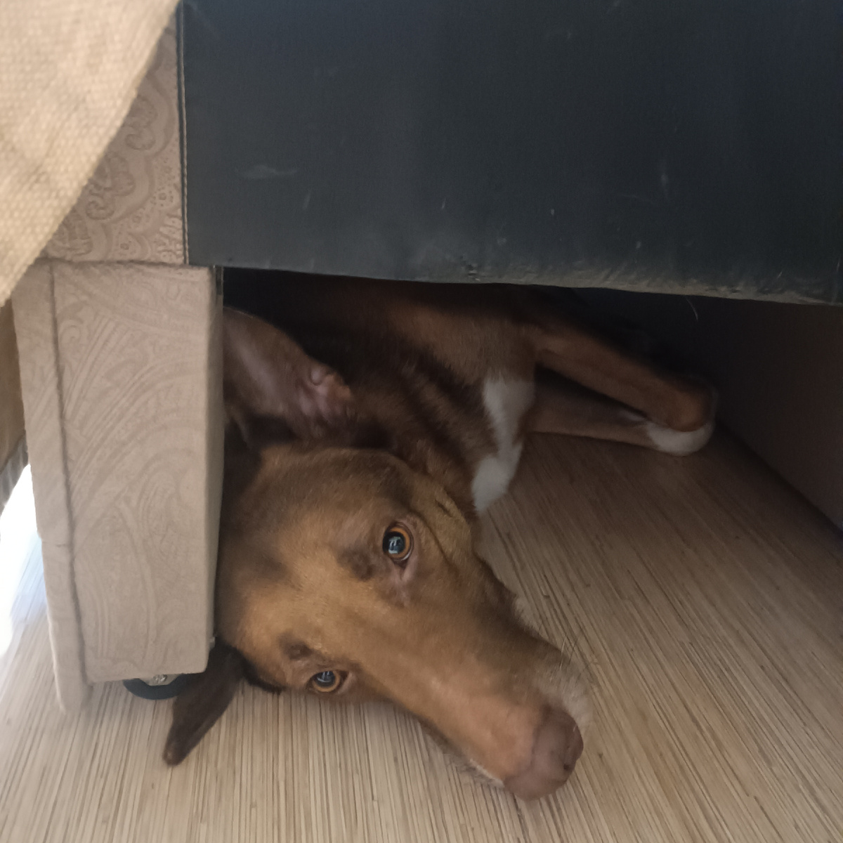 И как умещается?