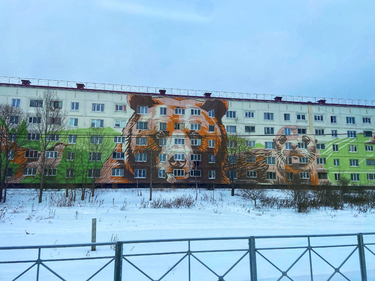 Рассматривая рисунки, узнаешь, кто живёт на Сахалине, кроме людей...