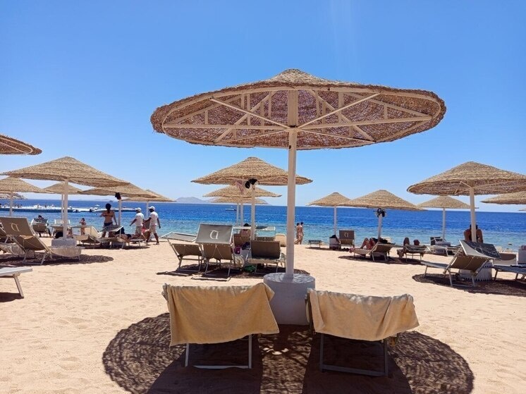     Фото: МК Новосибирск