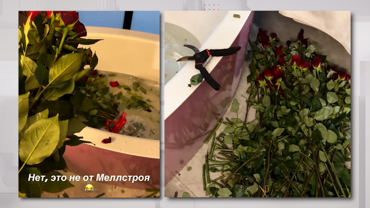    Фото: Instagram*/samburskaya