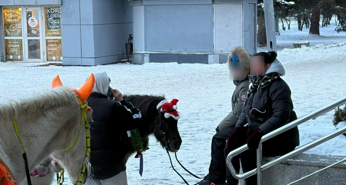    фото со страницы Ярославского цирка ВКонтакте