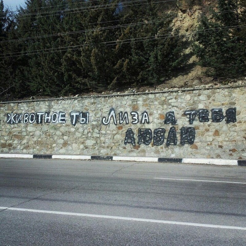 Дурацкие надписи на заборе тоже бесят, но их хотя бы можно закрасить