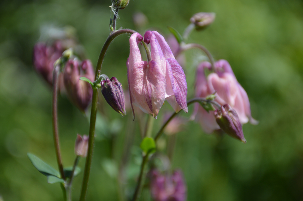 28 мая. Все фотографии в статье мои