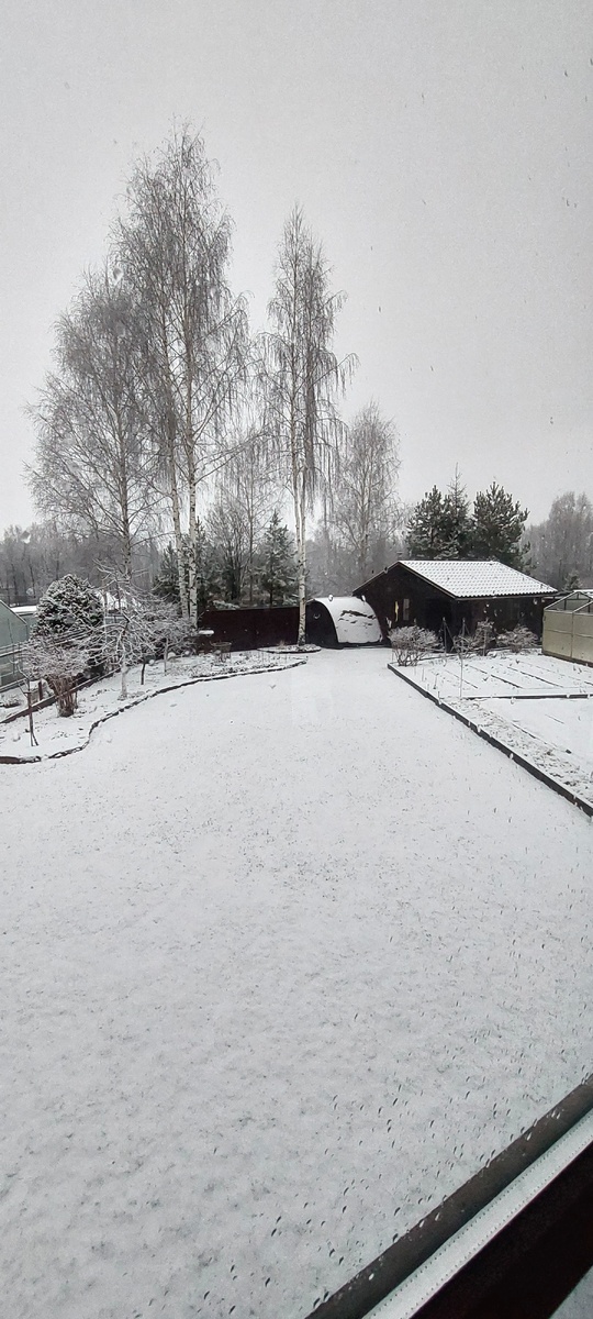 23 ноября. Чуть припорошило.