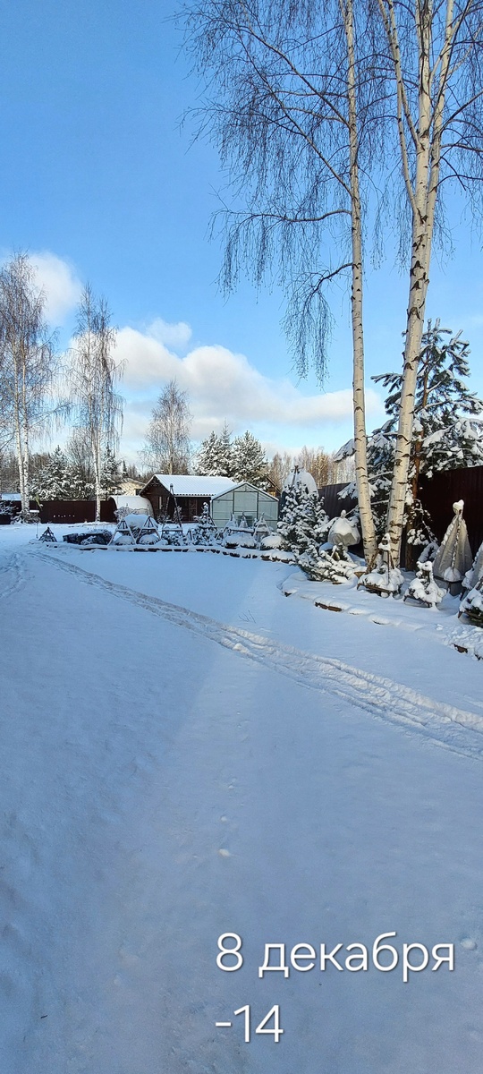 Первый мороз. 