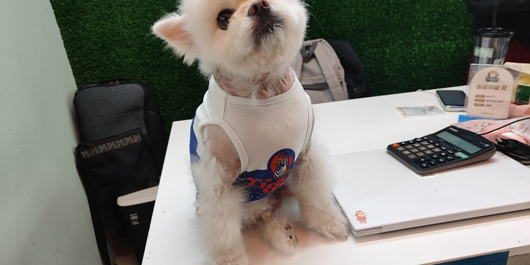 Дневник зимовки. День 48: Здравствуй, Дананг! Заселяемся в отель, меняем деньги, покупаем сим-карту, выбираем экскурсии