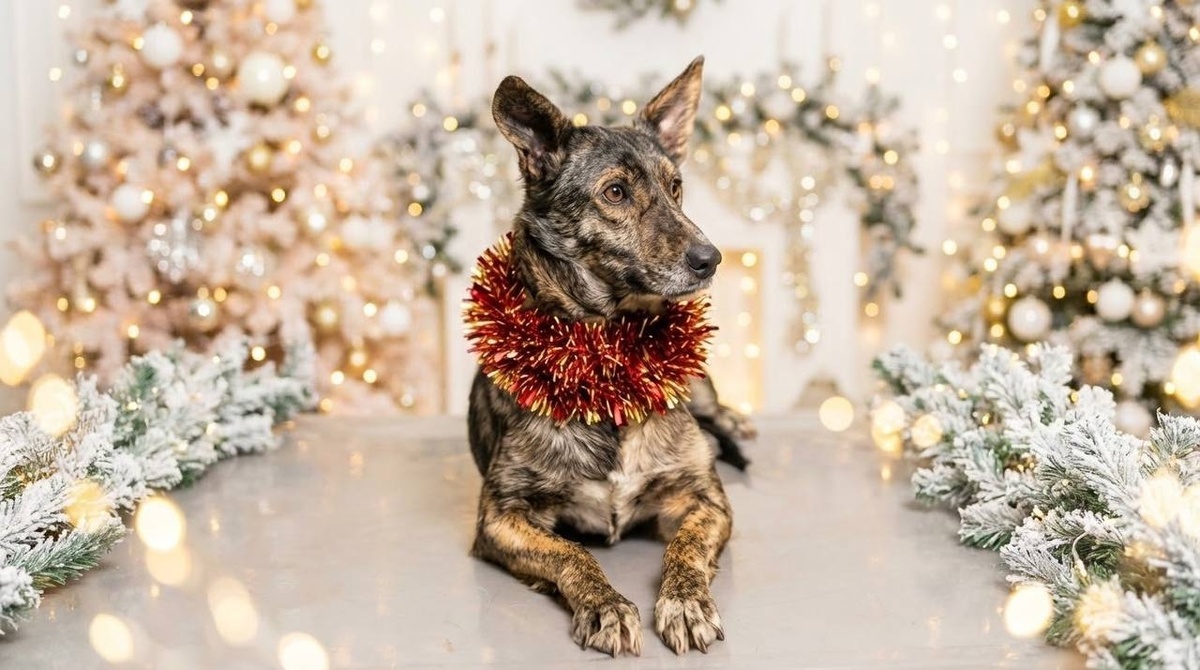 Может быть, её чудо просто немного заблудилось в этой новогодней суете и придёт сейчас, в тишине наступившего года?