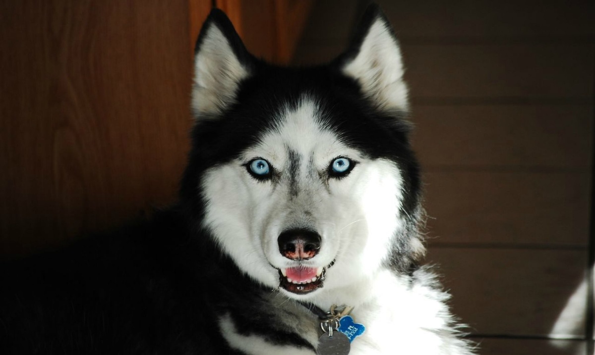 Источник: supergracioso.com