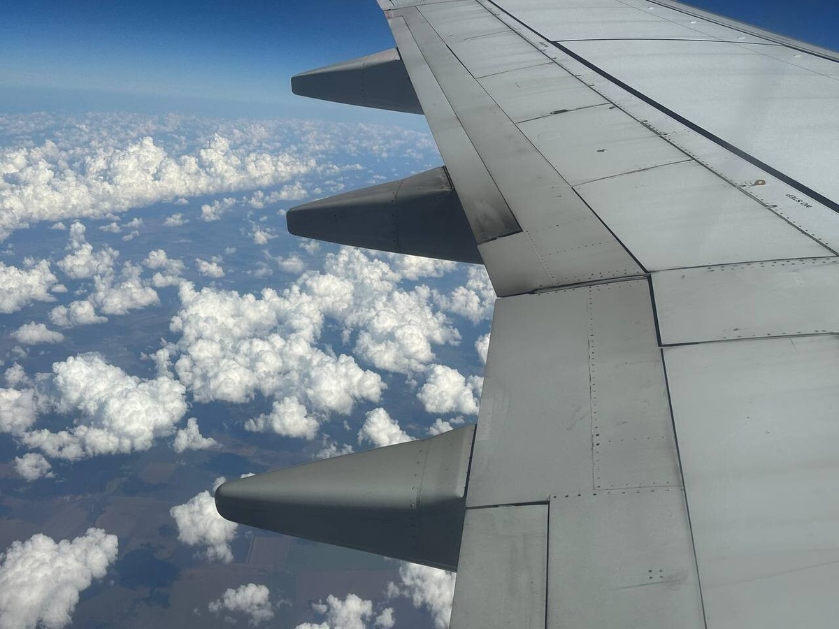     Фото: Бриф24