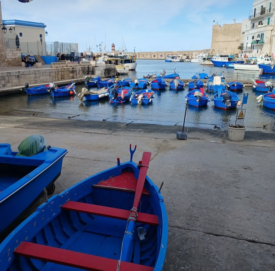 Фото автора. На этих лодках рыбаки ежедневно выходят в море за уловом — независимо от погоды и сезона.