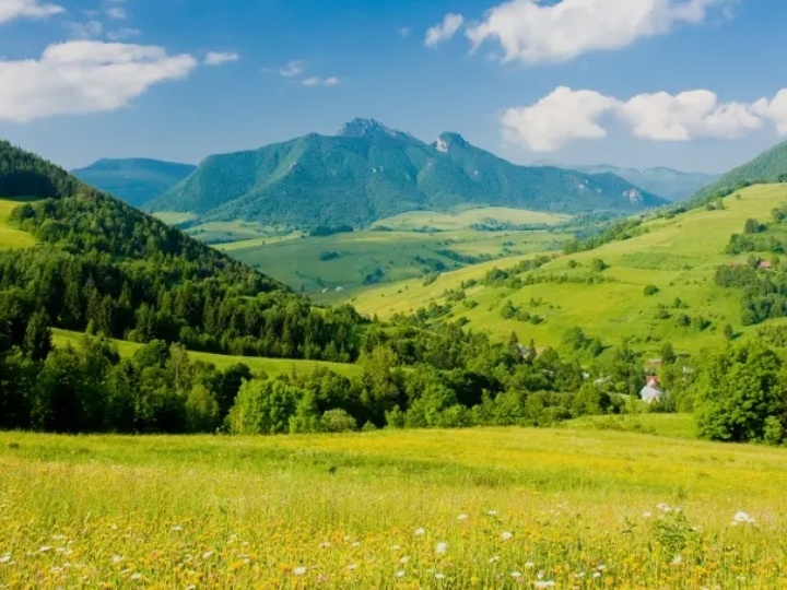Хочу не из ума,а чтобы желание шло от души, от тела из самого нутра».