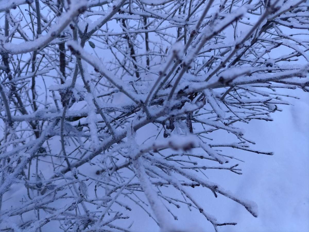 Зимняя красота... 