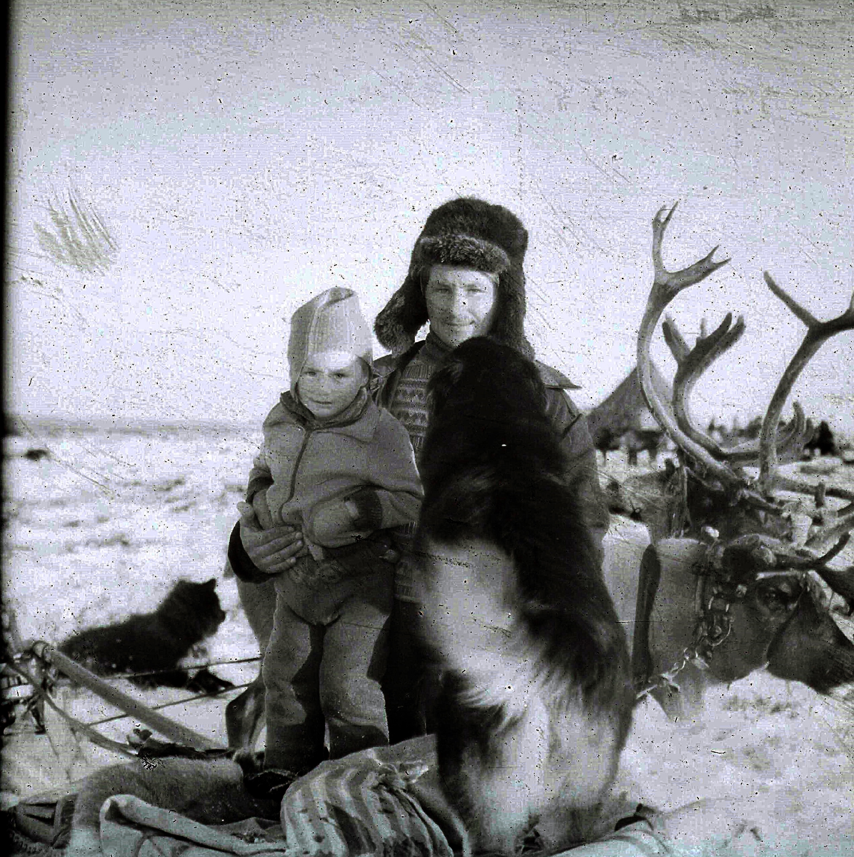 1982. Тундра. Оленеводы