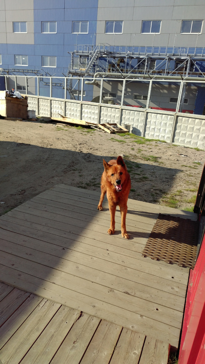 Первая встреча