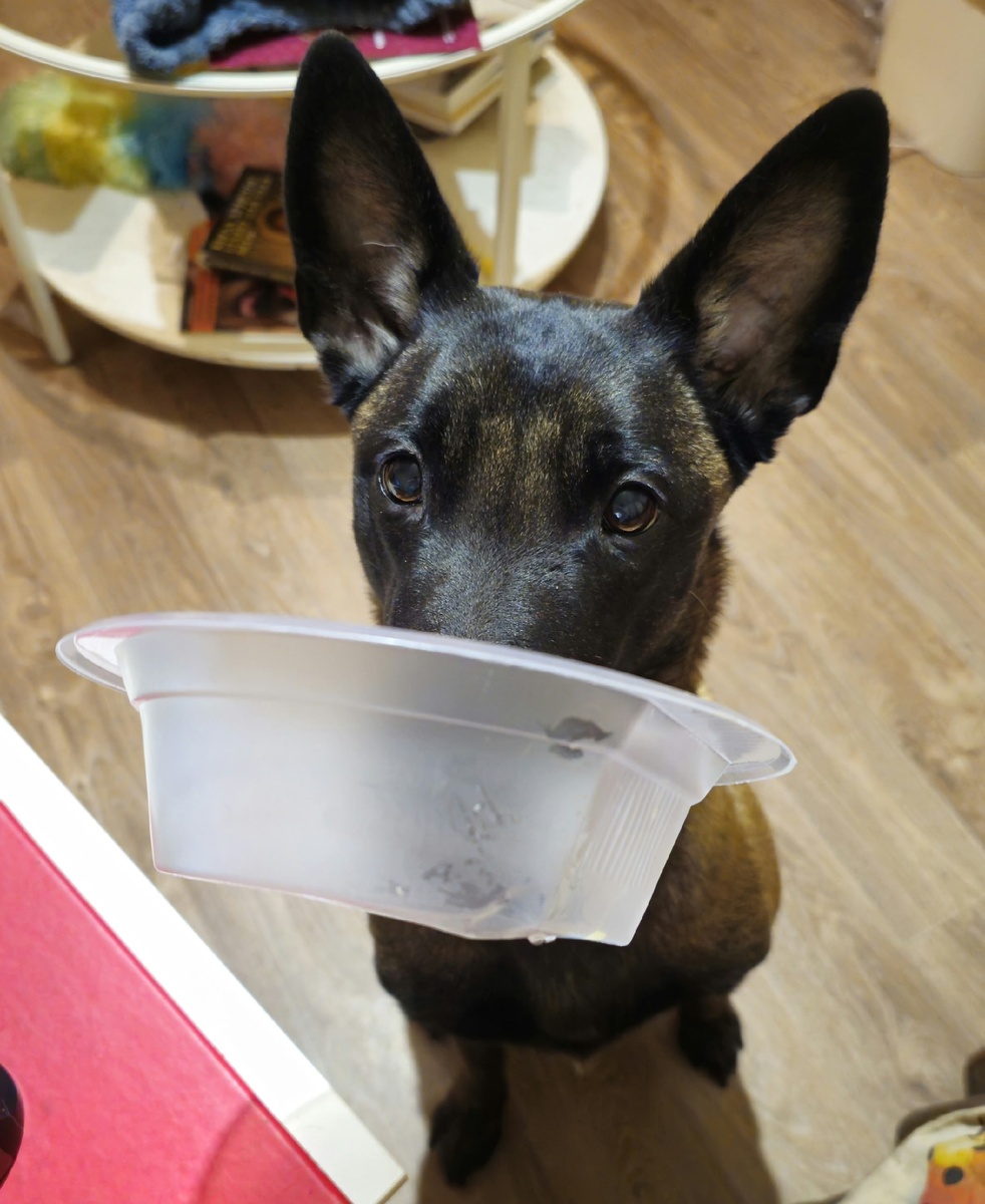 Нет своей миски - арендуй чужую. И намекай. 