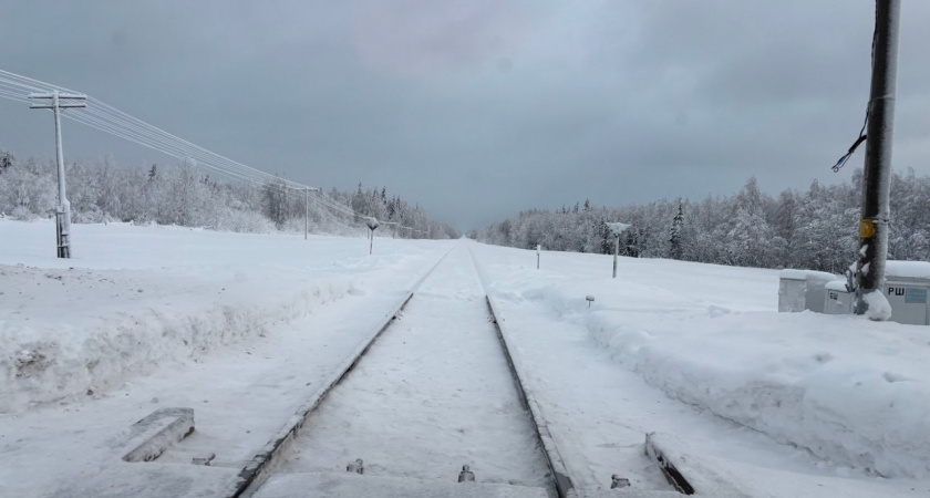    Фото из архива редакции