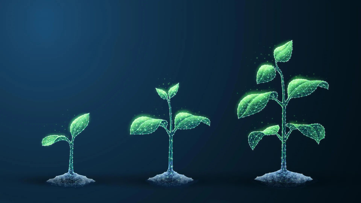 Изображение: Shutterstock