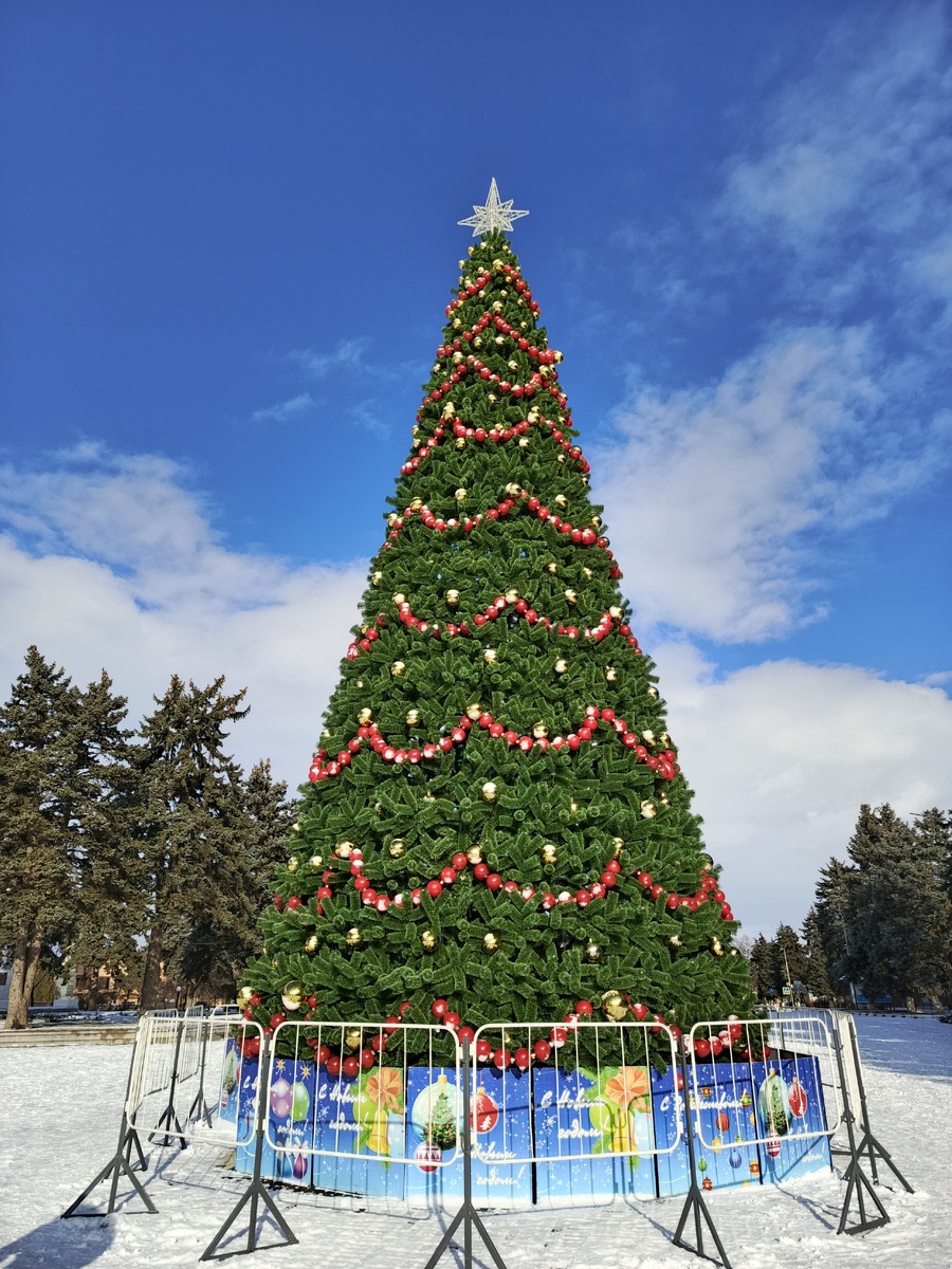 Наша станичная елка.