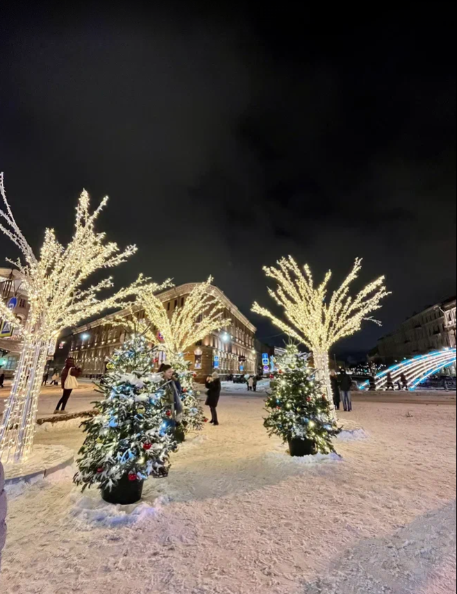 Световой сад возле Исаакиевского. Фото из личного архива, январь 2026