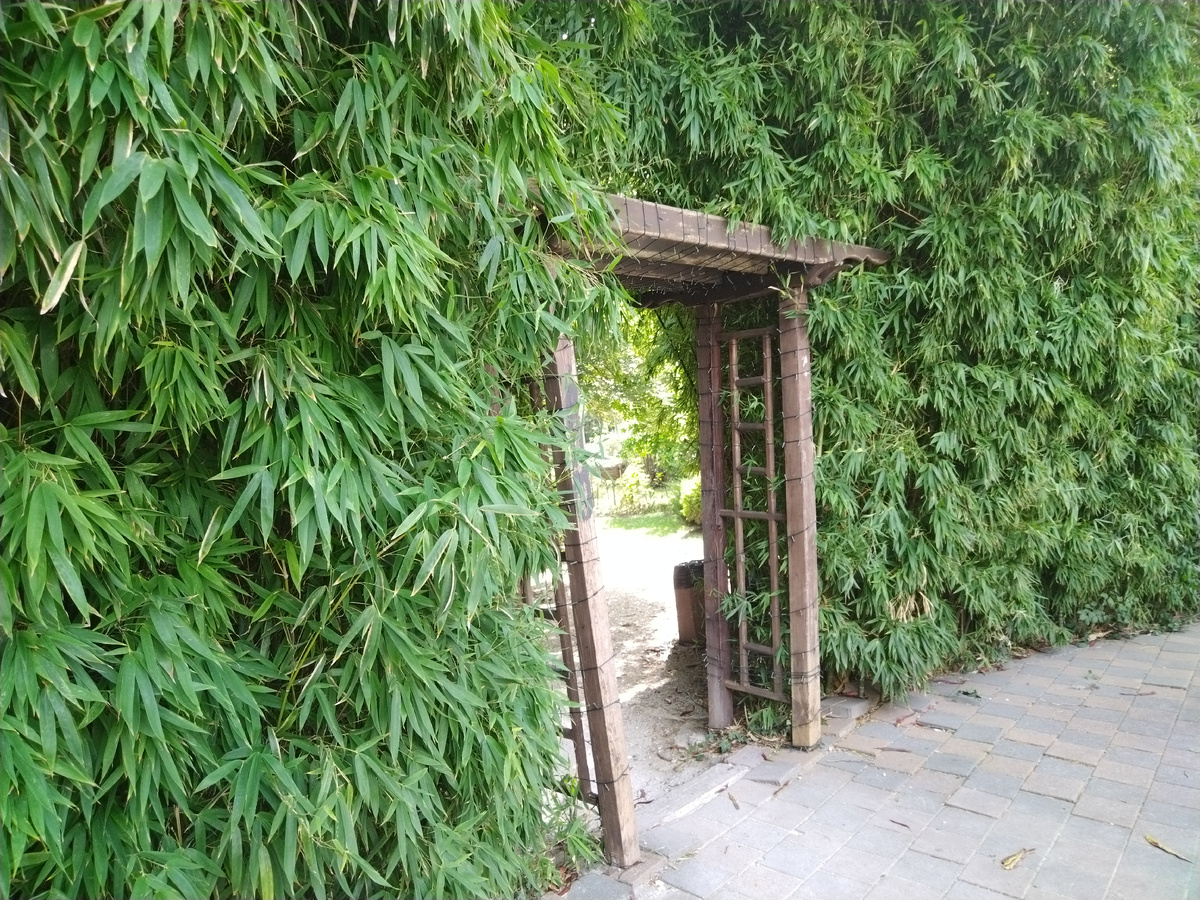 Фото автора, сентябрь 2025 года