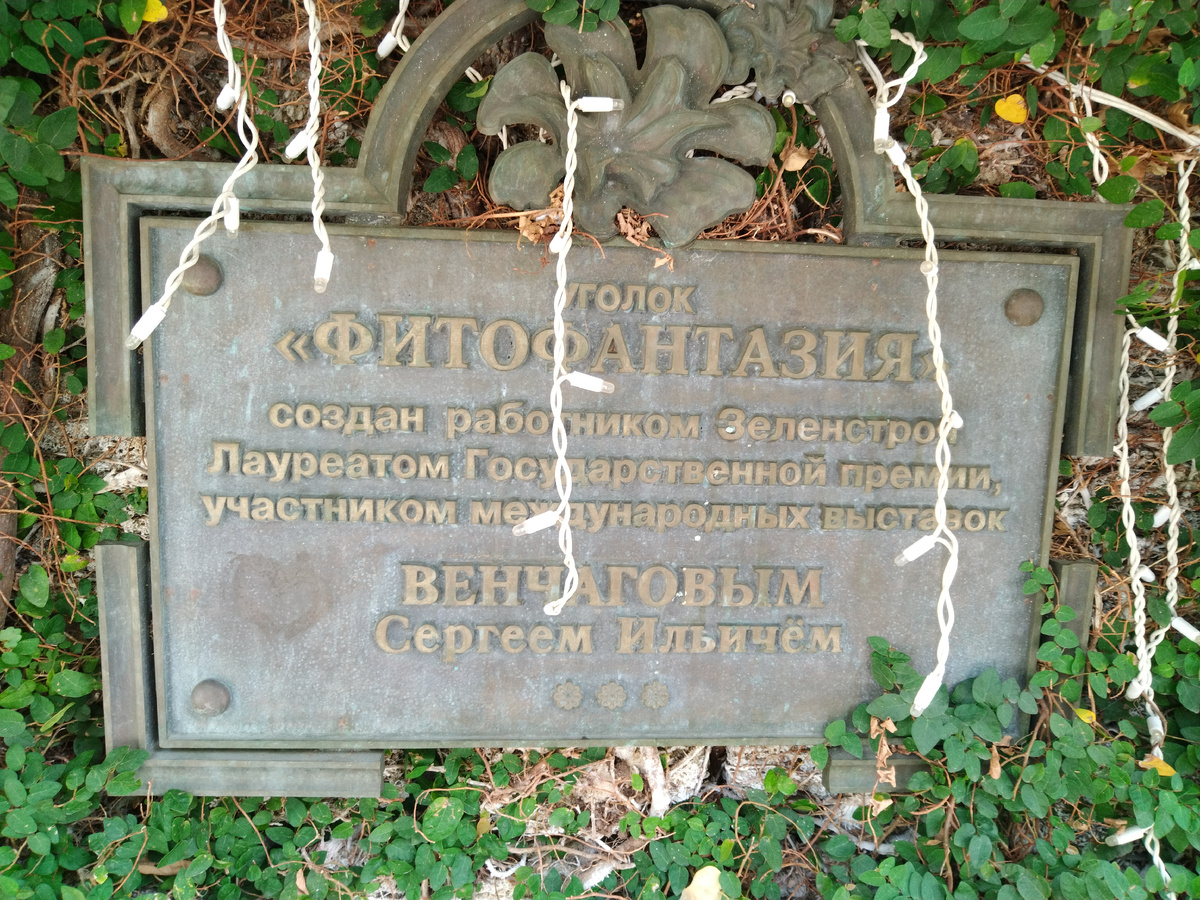 Фото автора, сентябрь 2025 года