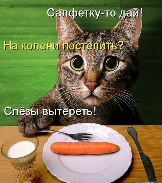 фото из интернета