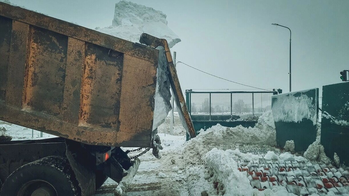   Ксения Кобалия / 1MI