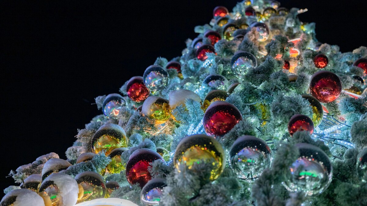    Фото: Федор Воронов/«Ямал-Медиа»