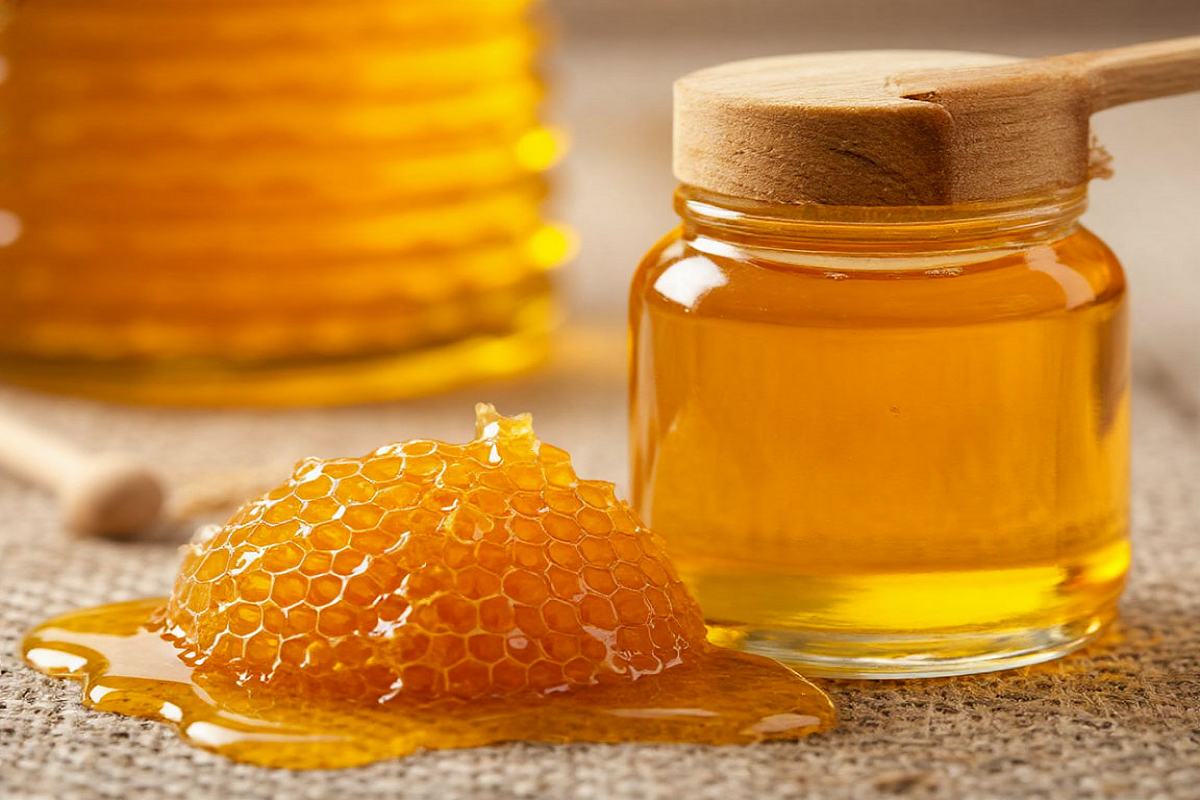    Фото: коллаж RuNews24.ru