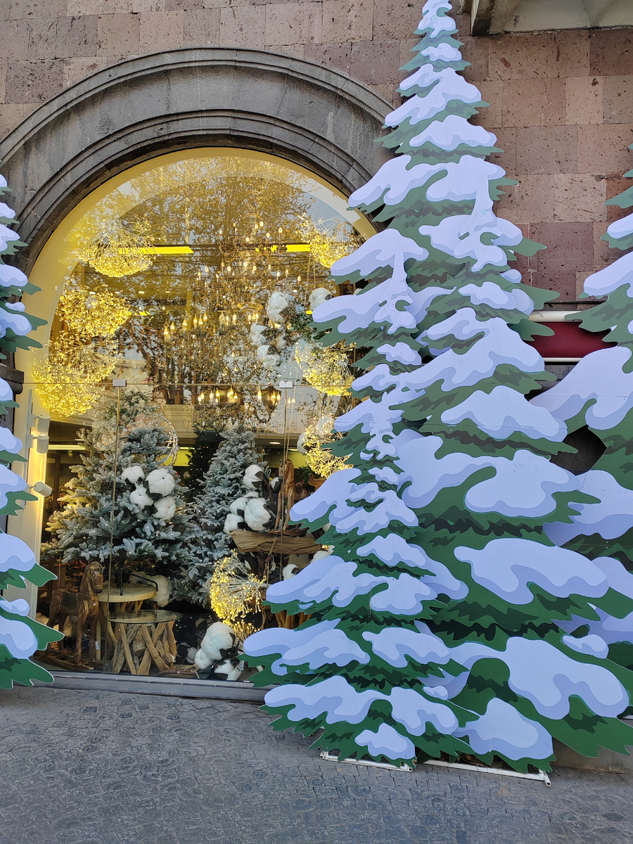 Ереван. Республика Армения. 2025 г. (декабрь).