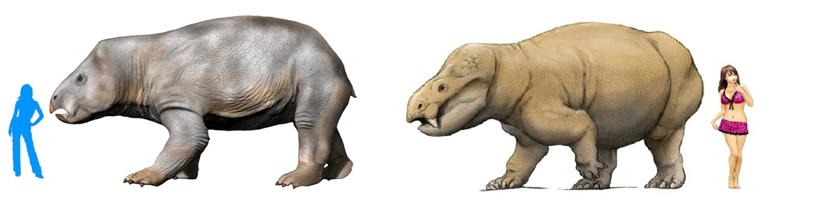 Лисовиция и... оууу! Девчонки 😎