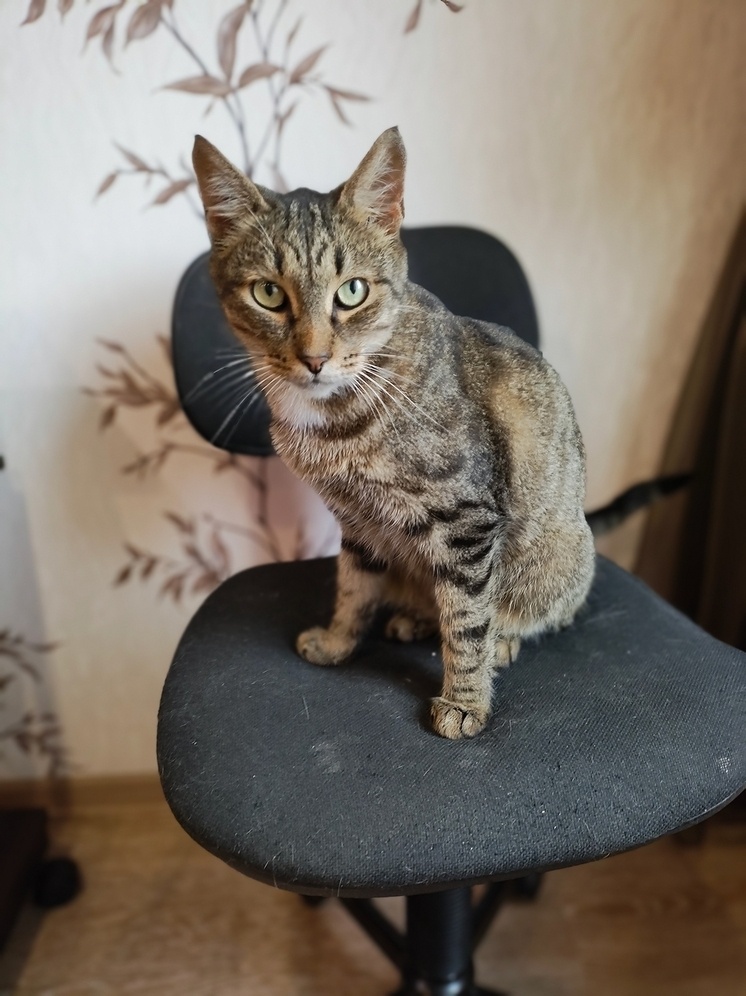     Фото: «Зов природы»