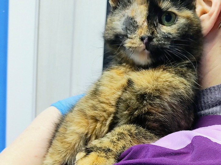     Фото: «Зов природы»