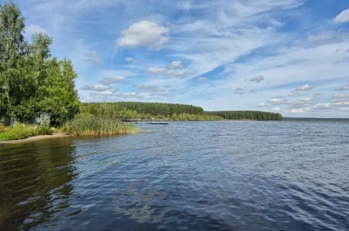    Виноваты люди.