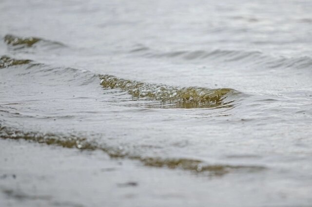   Водоемы исчезают из-за влияния человека. Фото: екатеринбург.рф/ Федор Серков