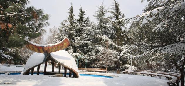 Алушта. Снег в Алуште. Из свободных источников. 