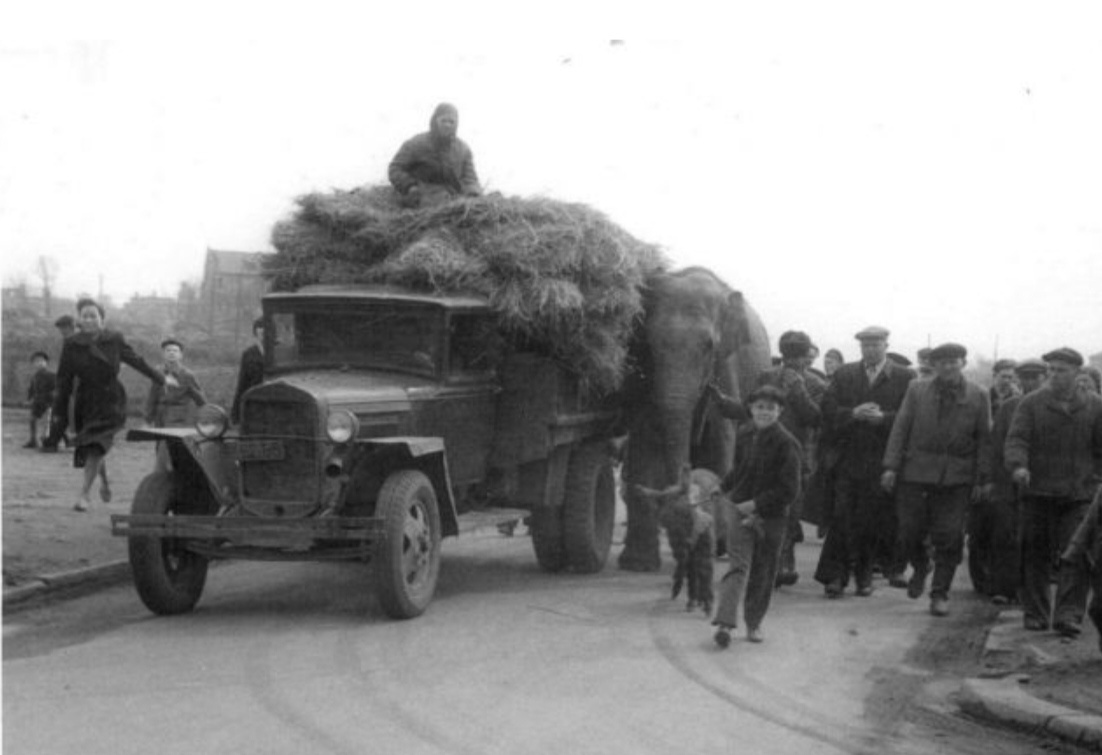 Шандра с осликом 